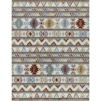 Fluffy Shag 1008CZY Multi 5'3" x 7'