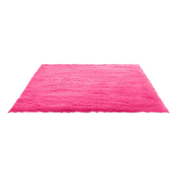 Fluffy Shag Area Rugs Soft Fuzzy Shaggy Rugs for Girls Bedroom Kids Room Carpet Furry Throw Dorm Rug 31 x 19 Inches