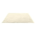 thumbnail image 1 of Fluffy Shag Area Rugs Soft Fuzzy Shaggy Rugs for Girls Bedroom Kids Room Carpet Furry Throw Dorm Rug 31 x 19 Inches, 1 of 2