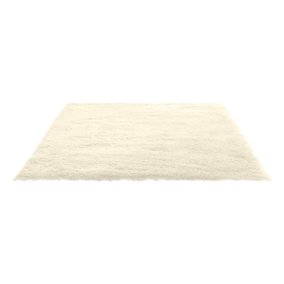 Fluffy Shag Area Rugs Soft Fuzzy Shaggy Rugs for Girls Bedroom Kids Room Carpet Furry Throw Dorm Rug 31 x 19 Inches