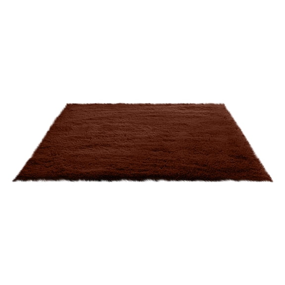 Fluffy Shag Area Rugs Soft Fuzzy Shaggy Rugs for Girls Bedroom Kids Room Carpet Furry Throw Dorm Rug 31 x 19 Inches
