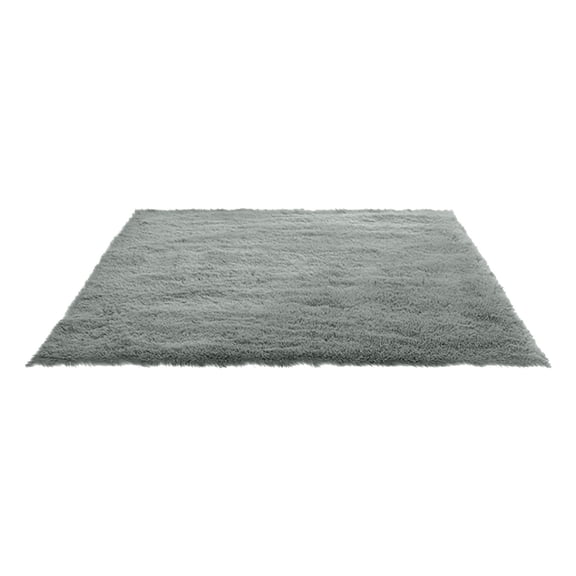 Fluffy Shag Area Rugs Soft Fuzzy Shaggy Rugs for Girls Bedroom Kids Room Carpet Furry Throw Dorm Rug 31 x 19 Inches