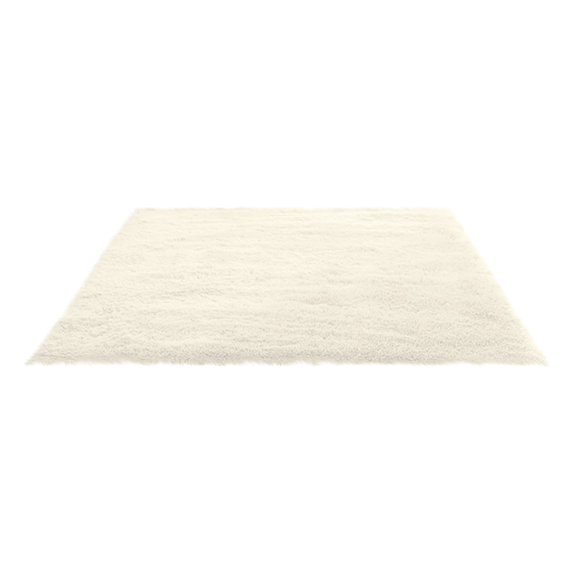 Fluffy Shag Area Rugs Soft Fuzzy Shaggy Rugs for Girls Bedroom Kids Room Carpet Furry Throw Dorm Rug 31 x 19 Inches