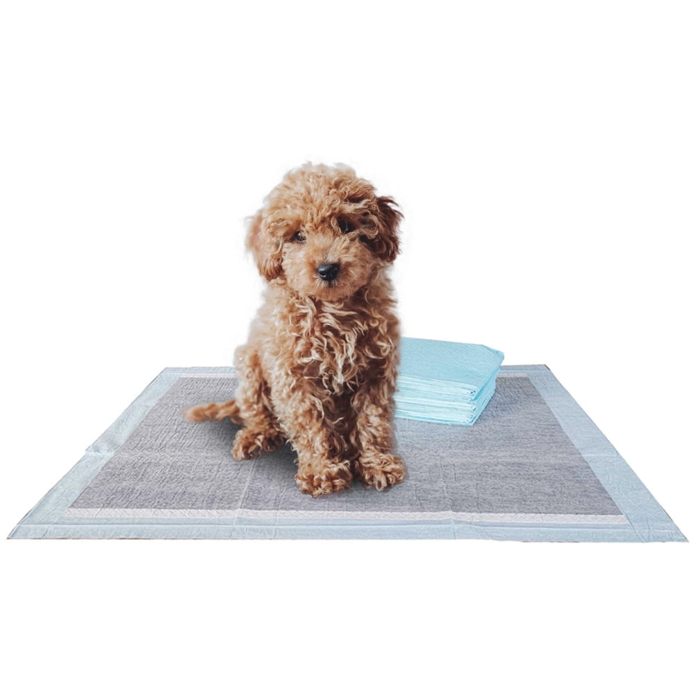 Martha stewart hotsell puppy pads