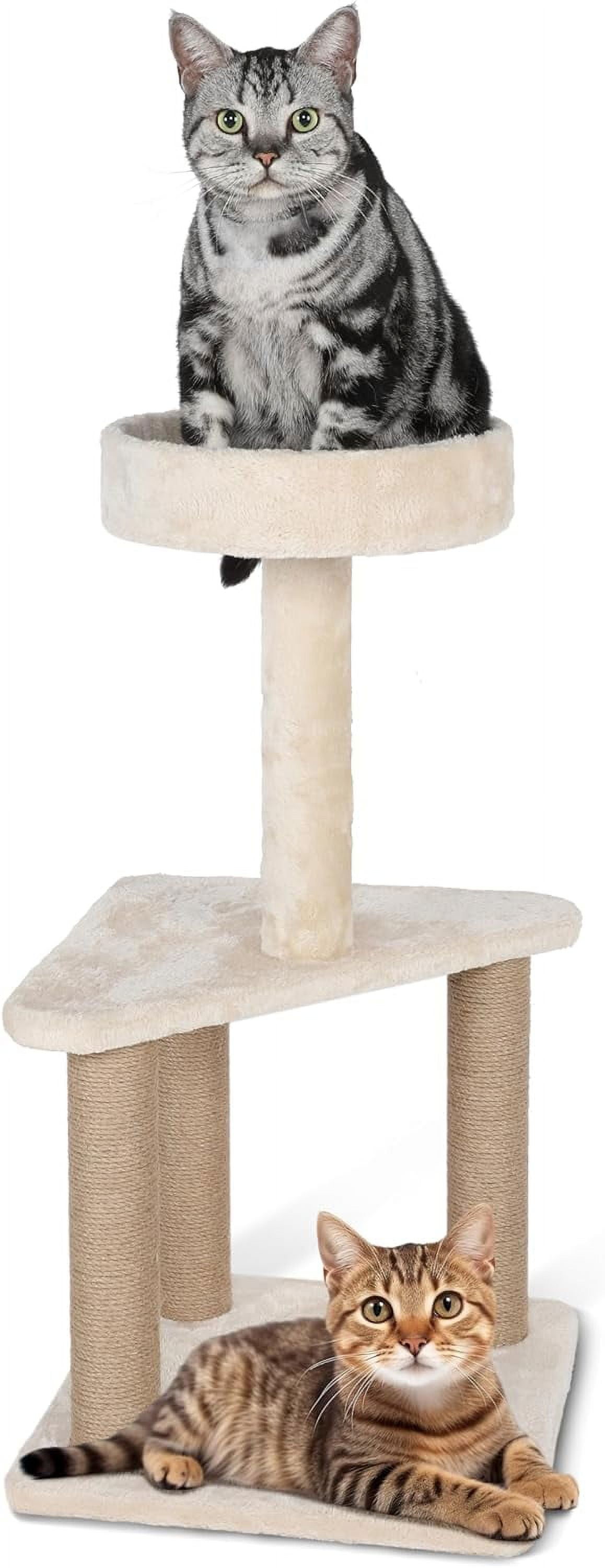 Cat post walmart online