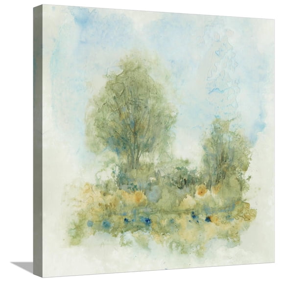Art.com Fluid Landscape II Stretched Canvas Print Wall Art by Tim OToole, 24" x 24"