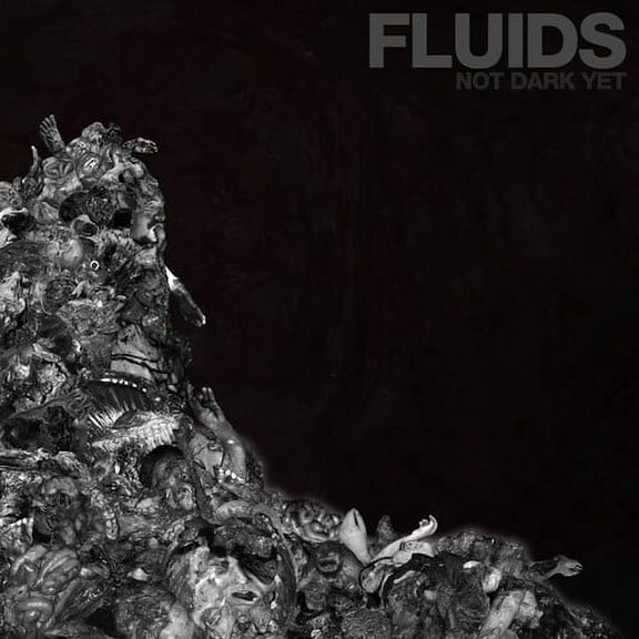 Fluids - Not Dark Yet - Music & Performance - CD