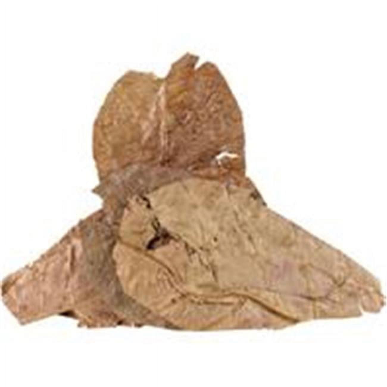 Fluker's Catappa Leaves for Hermit Crabs (Pack of 5)