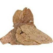 Fluker's Catappa Leaves for Hermit Crabs (Pack of 5)