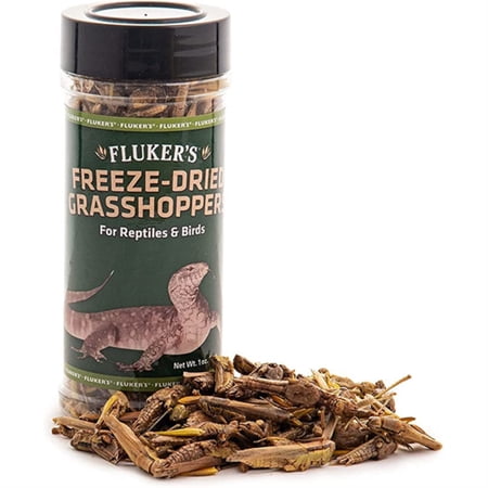 Fluker's Freeze-Dried Grasshoppers