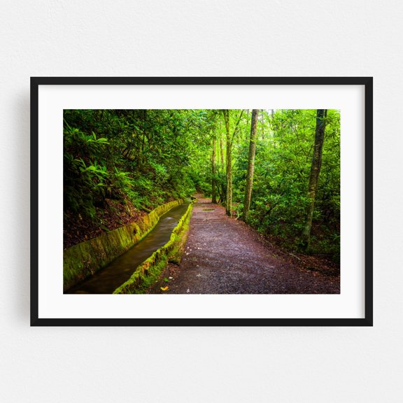 Flume & Trail - North Carolina Photography Black Framed Wall Art Print 16 x 24 inches