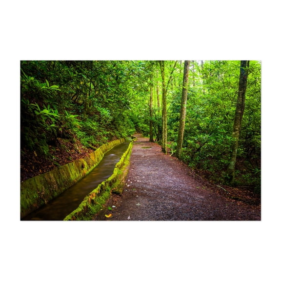 Flume & Trail - North Carolina Photography Unframed Wall Art Print 24 x 36 inches