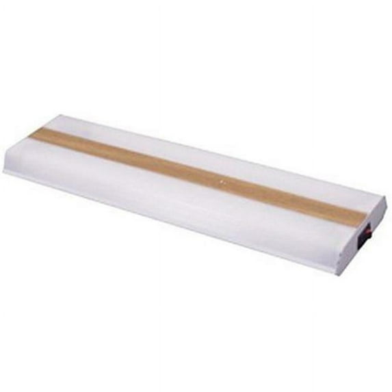 Fluorescent Dual Tube Light Fixture