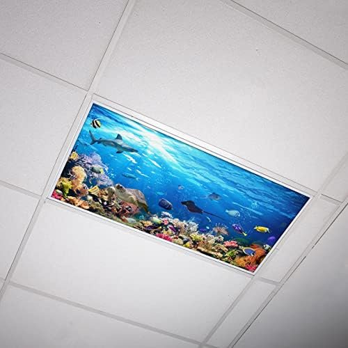 Fluorescent Light Cover for Classroom Ceiling Lights - Premium Backlit Film Insert 2x4 (22.38"x46.5") Florescent Fixture (Pack of 1) School, Office, Sensory, Improve Focus, Eliminate Headaches - Ocea