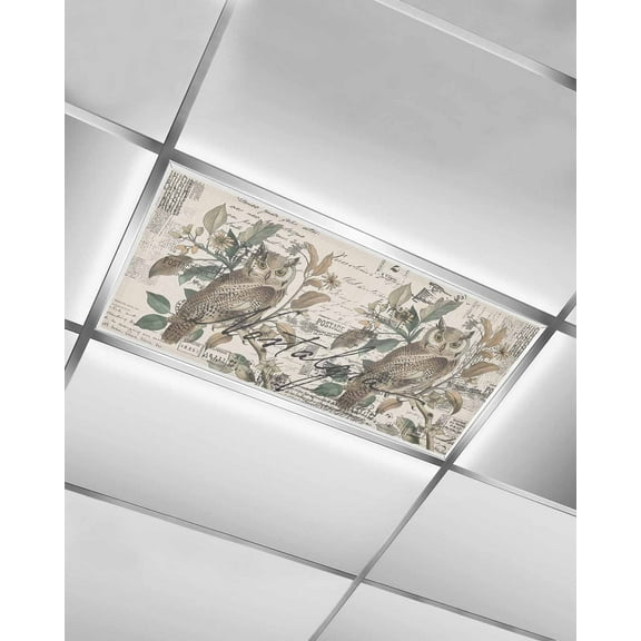 Fluorescent Light Covers for Ceiling Lights 1 Pack, Farmhouse Owl Magnetic Ceiling Light Covers 2x4ft for Classroom Office School, Country Envelope Postmark Rustic Botancial Drop Ceiling Light Shade