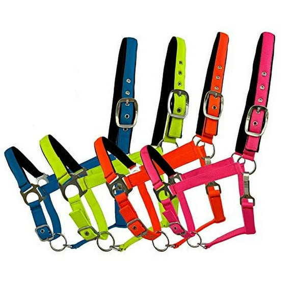 Fluorescent Nylon Neoprene Lined Adjustable Halter (Blue)