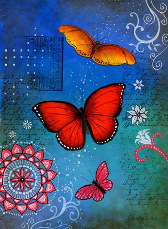Fluorescent Pink Butterfly Canvas Art - Christine Kerrick (19 x 25)
