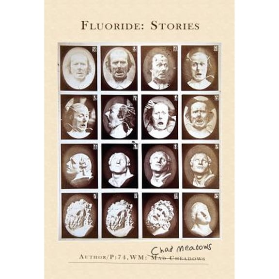 Pre-Owned Fluoride: Stories Paperback Chad Meadows