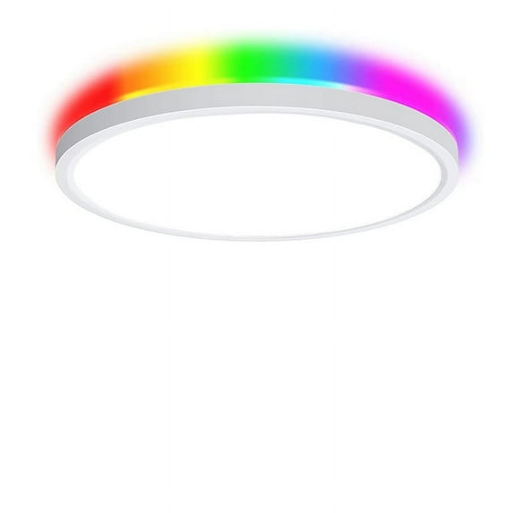 Flush Mount Ceiling Light, 24W RGB Ceiling Light Fixture with Remote Control Bluetooth App,Dimmable Led Ceiling Light 3000K-6500K,12Inch Round Close to Ceiling Lights Bedroom Kitchen Hallway