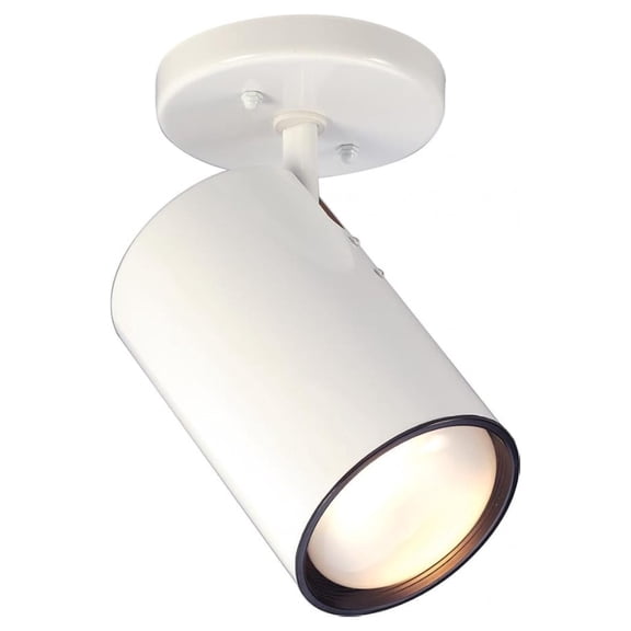 Flush Mount Ceiling Light, SF76/418 White 1-Light Fixture