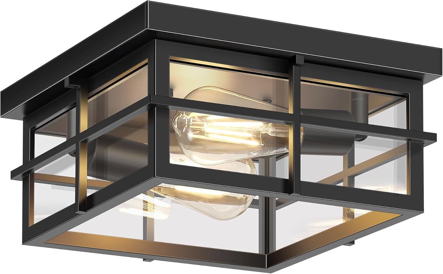 Flush Mount Ceiling Lights, 2-Light Hallway Ceiling Lighting Fixtures, Farmhouse Metal Cage Ceiling Lights for Entryway Kitchen