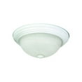 thumbnail image 1 of Flush Mount Lighting Series Eleven Incandescent, 1 of 5