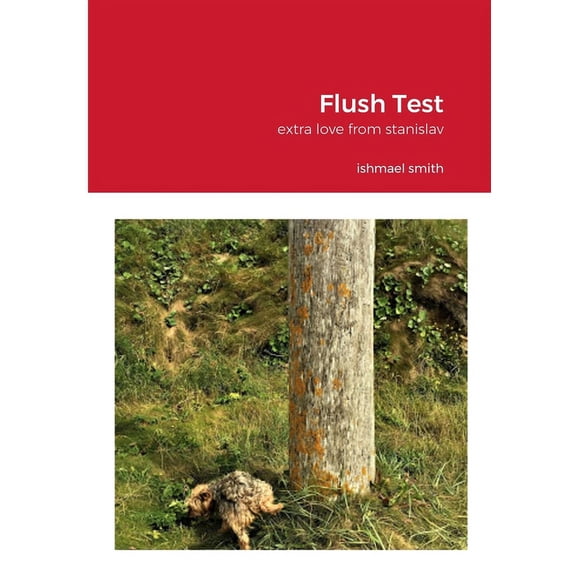 Flush Test: extra love from stanislav, (Paperback)