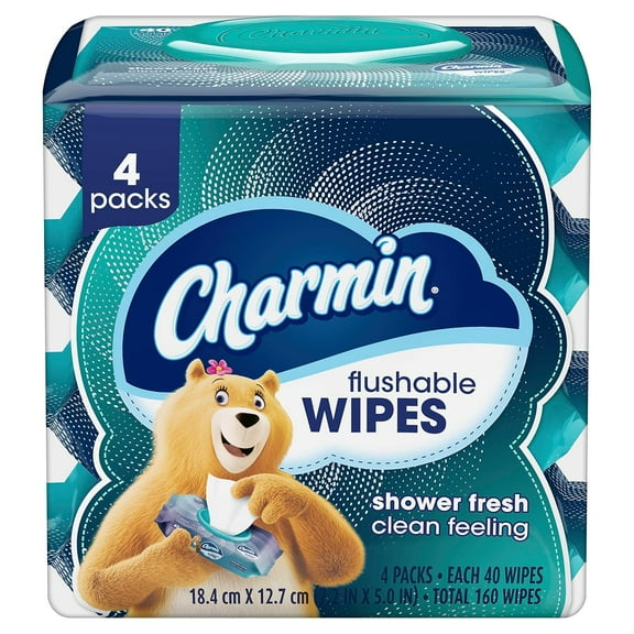 Flushable Wipes, 160 Total Wipes (4 Packs of 40)