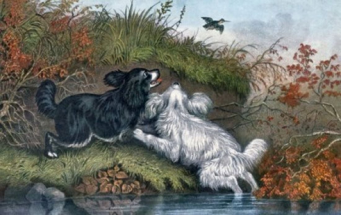 Flushing Woodcock by Currier and Ives painting Canvas Art - Currier & Ives (24 x 36)