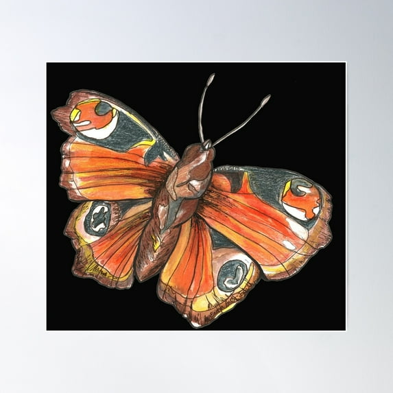 Flutterby Butterfly Poster Wall Art, Modern Wall Decor For Living Room Bedroom, 24x36 UNFRAMED