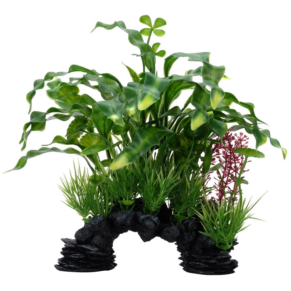 Fluval Aqualife Curly Aponogeton Plant Mix 10 inch