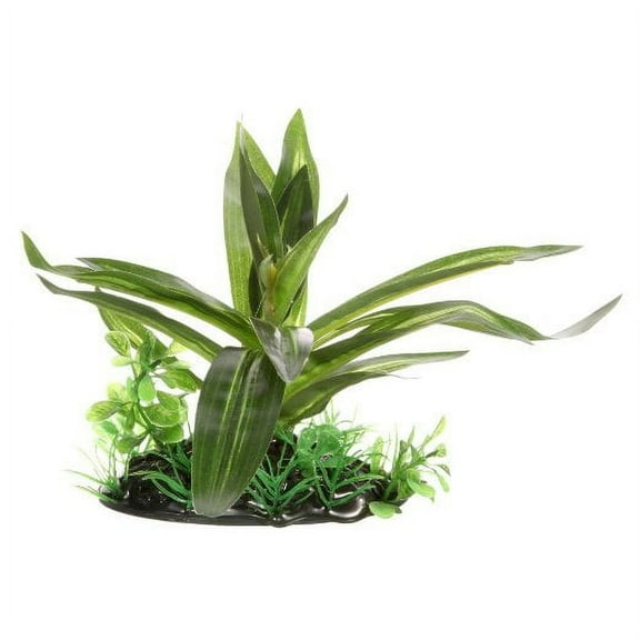 Fluval Giant Sagittaria Plant 4in