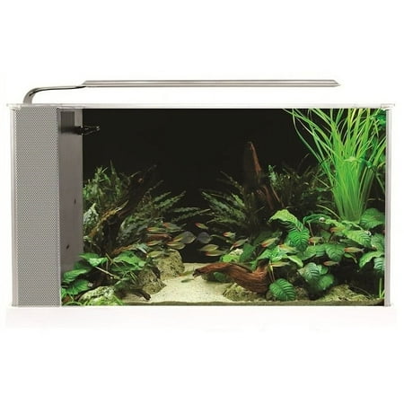 Fluval Spec V 5 Gallon Aquarium Kit WHITE