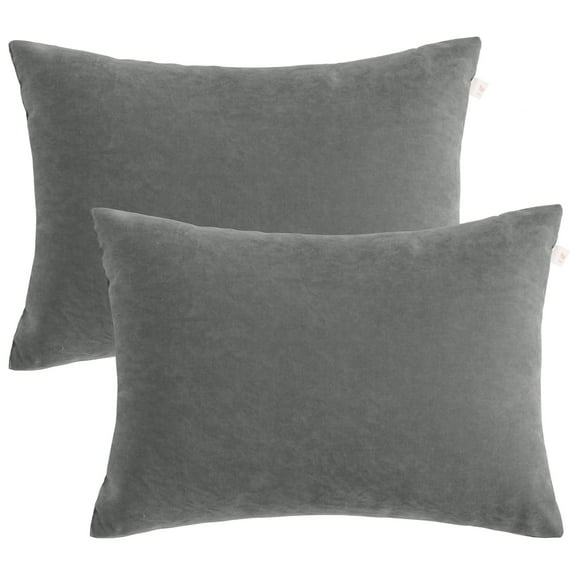 Flxxie 2 Pack Microfiber Soft Toddler Pillows for Sleeping, Small Kids Travel Pillows, Machine Washable, Perfect for Toddler Bed, 13" x 18", Dark Gray