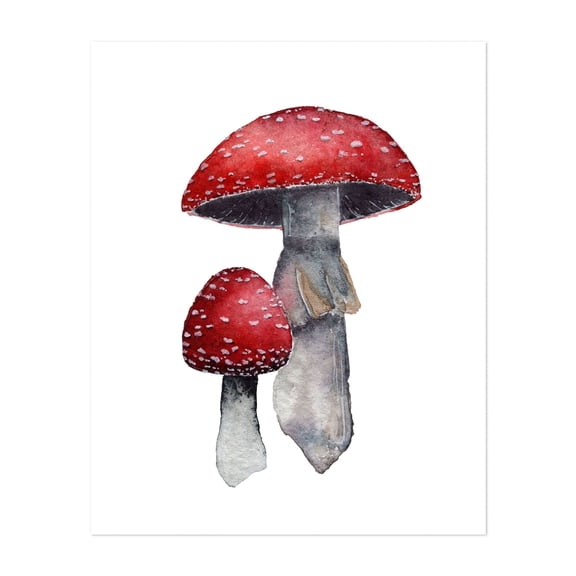 Fly Agaric 01 - Painting Watercolor Nature Botanical Illustration Forest Whimsical Unframed Wall Art Print 4 x 6 inches