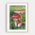 thumbnail image 1 of Fly Agaric 02 - Painting Watercolor Nature Botanical Woodland Illustration Forest Oak Framed Wall Art Print 9 x 12 inches, 1 of 59