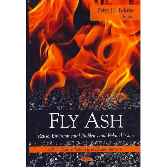 Fly Ash : Reuse, Environmental Problems and Related Issues