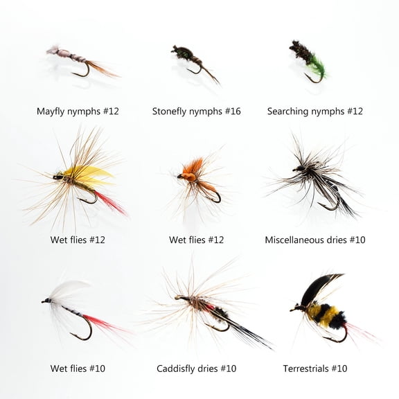 Fly Assortment Kit with Waterproof Box Dry/Wet Flies Nymphs Streamers Popper 72 Pc