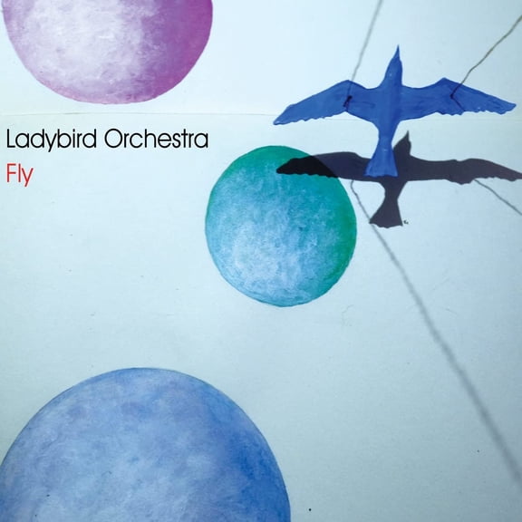 Fly (Audiobook)