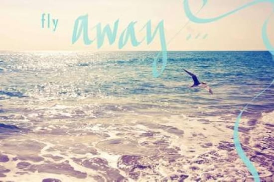 Fly Away Canvas Art - Susan Bryant  (24X36)