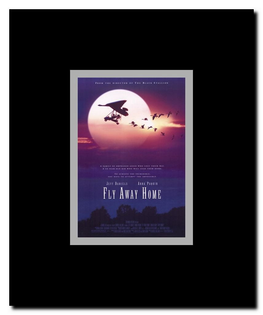Fly Away Home Framed Movie Poster
