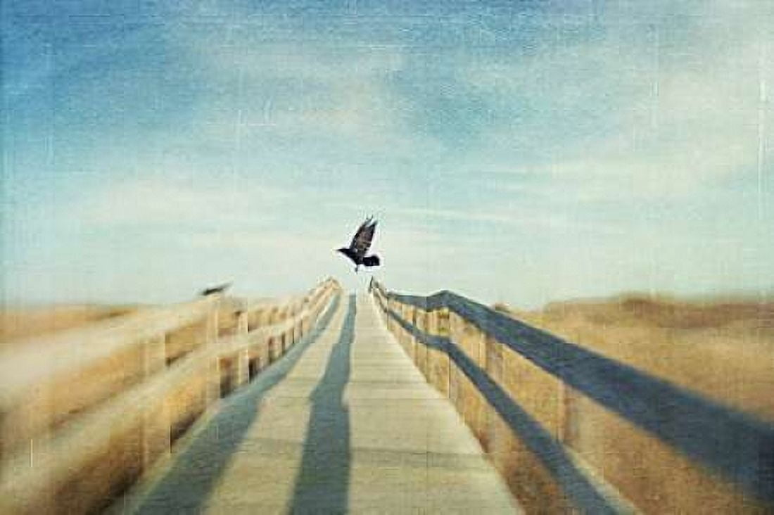 Fly Canvas Art - Dawn D Hanna (24 x 36)