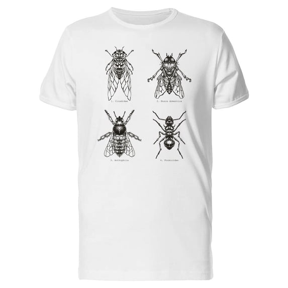 Fly, Cicada, Ant And Bee Tee Men's -Image by Shutterstock