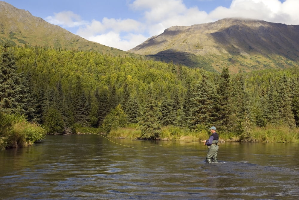 Fly Fisherman Casting For Dolly Varden Quartz Creek Kenai Peninsula Alaska Fall Canvas Art - Greg Martin Design Pics (38 x 24)