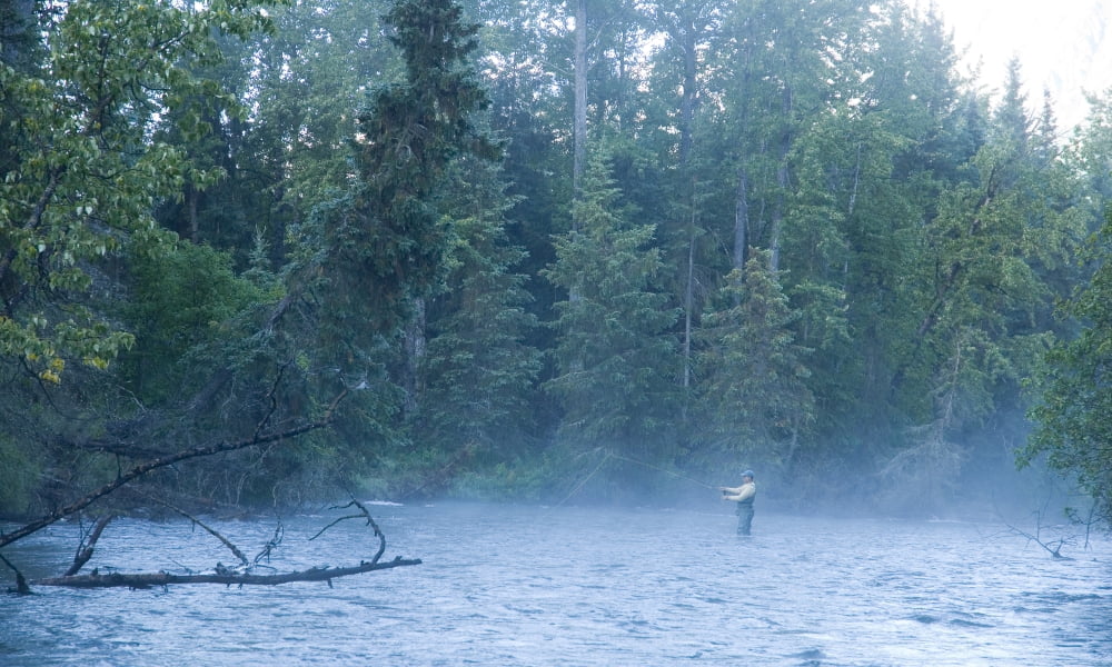 Fly Fisherman Fights Dolly Varden On The Line At Quartz Creek Kenai Peninsula Alaska Fall Canvas Art - Greg Martin Design Pics (18 x 10)