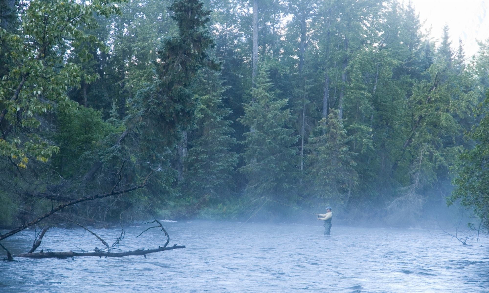Fly Fisherman Fights Dolly Varden On The Line At Quartz Creek Kenai Peninsula Alaska Fall Canvas Art - Greg Martin Design Pics (36 x 20)
