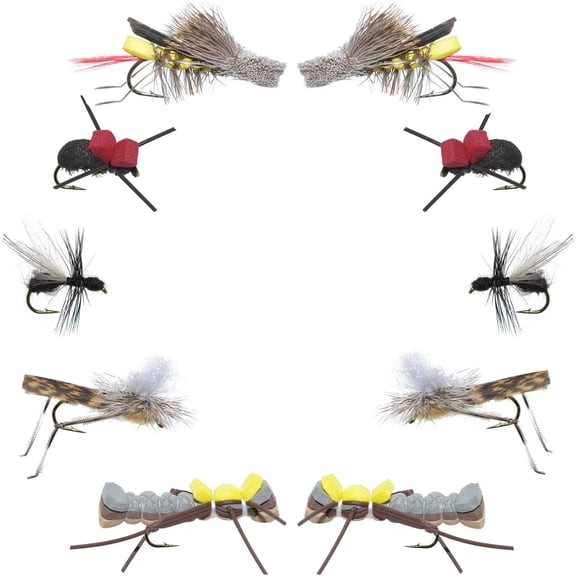 The Fly Fishing Place Basics Collection - Terrestrials Dry Fly Assortment - 10 Dry Fishing Flies - Hopper, Ant and Beetle Fishing Fly Patterns - Hook Sizes 10, 12 and 14