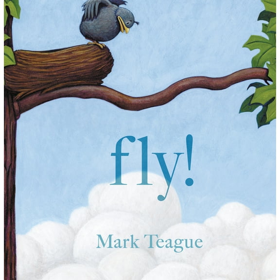 Fly!, (Hardcover)