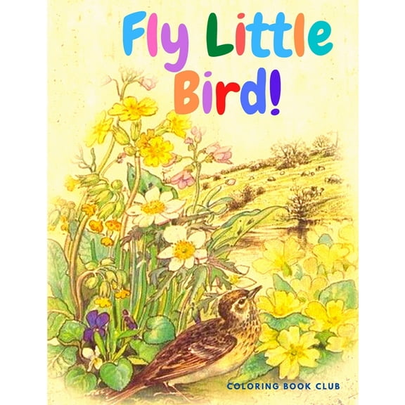 Fly Little Bird : Activity Book for Children with Beautiful Birds to Color (Paperback)