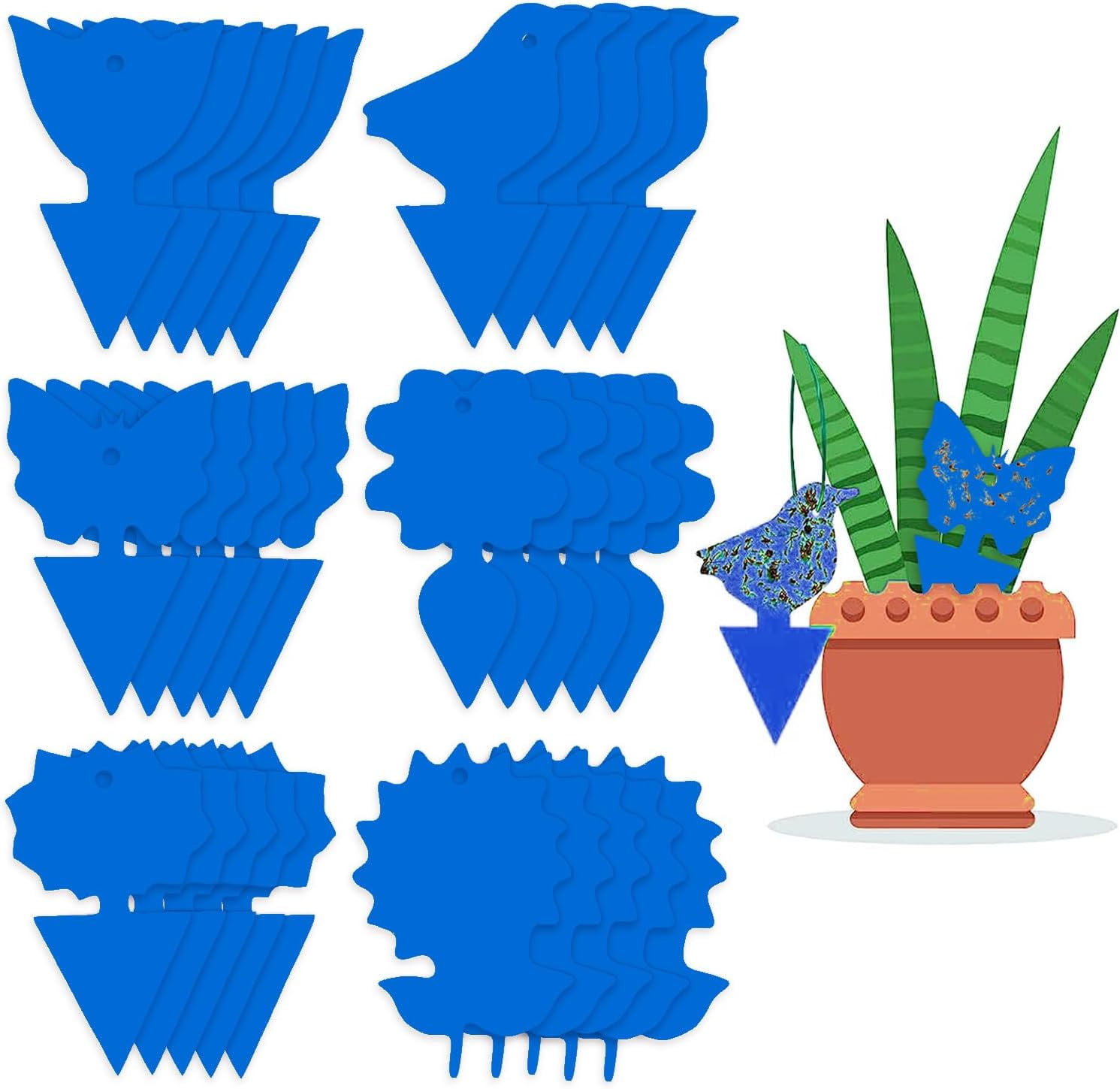 Fly Sticky Traps for Insect Control Blue Fruit Fly Traps